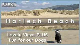 FANTASTIC day out on Harlech Beach with our Bearded Collies