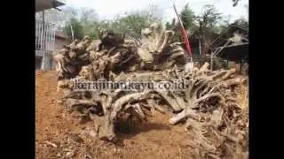 kerajinankayu.co.id | teak root coffe table furniture united kingdom UK