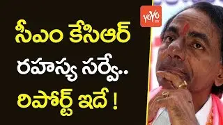 సీఎం కేసిఆర్ రహస్య సర్వే  | Secret Behind CM KCR Survey on TRS Leaders Performance |  YOYOTV CHANNEL