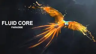 Fluid Core - Paradise
