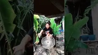 Ang daming hito..paano hulihin please watch