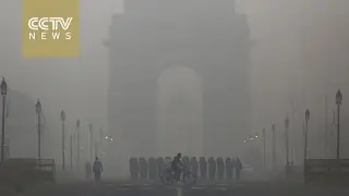 New Delhi closes over 1,800 schools in response to dangerous smog
