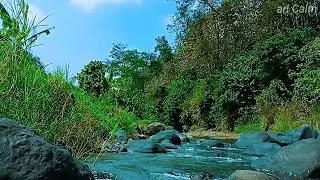 Sleep Instantly with Trickling Stream Sounds &ndash; Calming Water Flow & Nature Ambience #7
