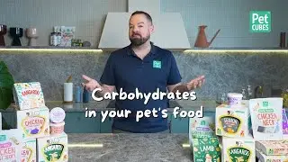 Carbohydrates In Your Dog's Food | Does my dog need carbs?