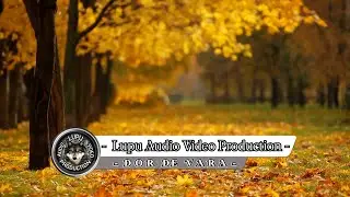 Lupu Audio Video Production - Dor de vara