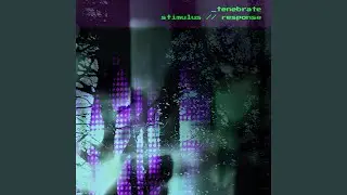 stimulus // response (distort)