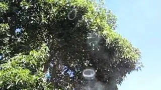 Two Stroke Smoke Rings