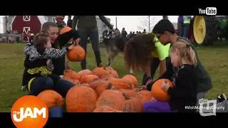 Illinois Road Trips in the Fall