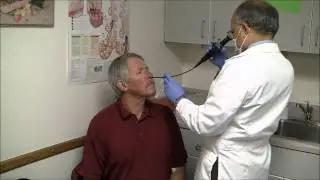 Fiber Optic Scope of the Nasal Passage
