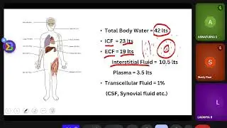 Circulatory System -  Evolution of Heart & Modifications of Aortic Arches