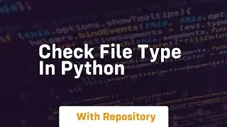check file type in python