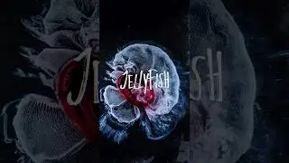 New Release! &lsquo;Jellyfish&rsquo; by INVADR76, Georgens&oslash;n & Rev Theory