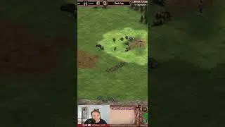 Luring 9 boars at the same time #ageofempires2de #aoe2 #ageofempires #ageofempires2
