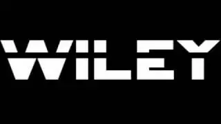 NEW WILEY - Indecisive