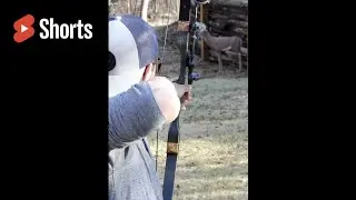 Recurve Bow PSE Nighthawk Teaser - WhyBuy #Shorts #bow #sports