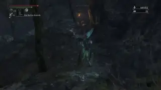 Bloodborn PS4-Live-&Uuml;bertragung von beaz91sth