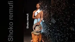 Andy Muridzo - Shoko remufi