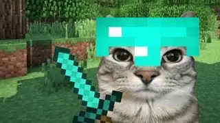 AFAKAH AKU AKAN MEMBUAT SERIES BARU?