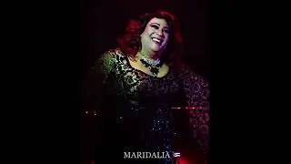 Canal de YouTube y Tik Tok Arte Transformista
