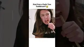 Natural Toothbrush from a Tree🤮