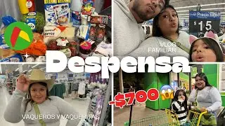 DESPENSA ECON&Oacute;MICA✅😱/ VLOG Familiar🧑&zwj;🧑&zwj;🧒 | Laura Guevara 