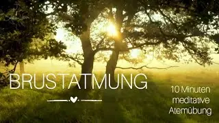 Brustatmung | Atemr&auml;ume erweitern | Vorbereitung f&uuml;r die volle Yogaatmung 🌬🧘🏻&zwj;♀️💫