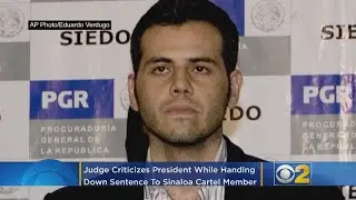 Judge Raps Trump, Gives Lenient Sentence To El Chapo Witness