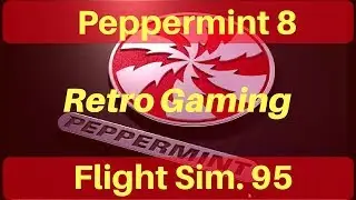 MS Flight Simulator 95 on Peppermint 8 Linux Using Wine