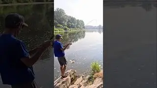 Catching Sucker Fish. Fishing the Grand River, Ontario