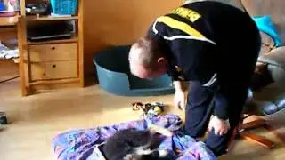 DSCF8415