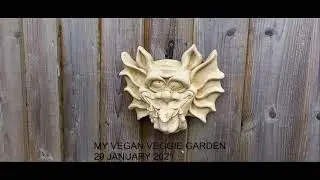 My Vegan Veggie Garden first garden tour - 29 January 2021