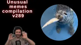 NymN reacts to UNUSUAL MEMES COMPILATION V289