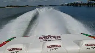 Scarab 1