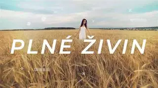 MAXRECO - Zdrav&aacute; n&aacute;hrada stravy pro děti a dospěl&eacute;