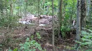 Moshannon State Forest, Medix Run Site #8