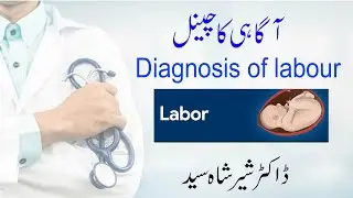 Diagnosis of Labour By Dr Shershah