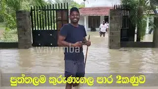 wayamba tv