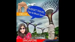 Backpacking from Delhi to Singapore: Budget Travel Tips & Must-Sees with Walkthrough #nishika #vlog