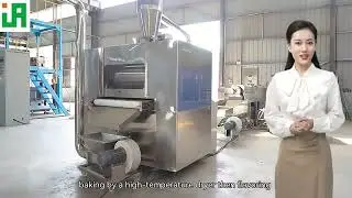 Twin screw corn flakes making extruder production line in China