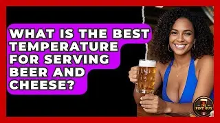 What Is The Best Temperature For Serving Beer And Cheese? - The Pint Guy