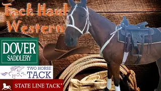 HUGE TACK HAUL || Dover Saddlery, State Line Tack, Two Horse Tack || Little Ms. Equestrian