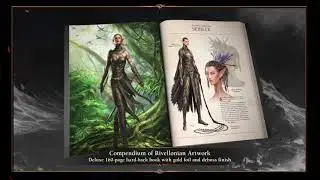 Divinity: Original Sin II Collectors Edition Trailer