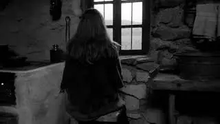Bela Tarr   The Turin Horse II