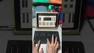 Roli Seaboard Block : Testing with GarageBand via Bluetooth connection with iPad. , MPE controlling