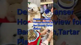 Baoledan Tooth Powder: 3-Month Real Results Review #pets #funny  #cuteanimal #puppy #asmr #dogfood