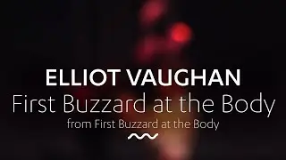 ELLIOT VAUGHAN: First Buzzard at the Body