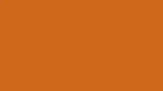 Screensaver solid color Chocolate 1 hour long