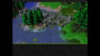 FULL GAMEPLAY - Warcraft 3: Frozen Throne | The Brothers Stormrage (Tyrande Whisperwind alive)