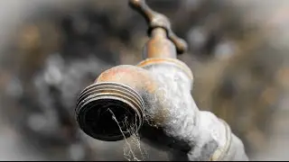 Science Today: Groundwater | California Academy of Sciences