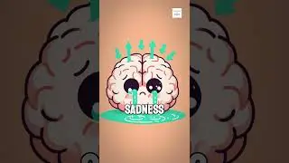 Why Do We Cry When We&rsquo;re Sad?